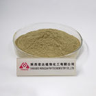 Food Additives Rosmary Extract Powder Rosemarinic Acid 5% 50%