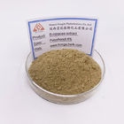 Anti Fever Echinacea Extract Powder Chicoric Acid 1% 4% CAS 70831-56-0