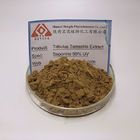 CAS 90131-68-3 Pure Plant Extract Saponins 70% 80% 90% Tribulus Terrestris Extract