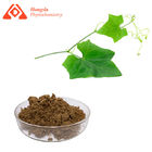 Hederin Pure Plant Extract CAS 84082-54-2 Anti Tussive Ivy Leaf Extract