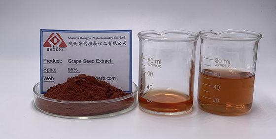 natural plant extracts  95% Proanthocyanidins Grape Seed Extract Powder Antioxidant Grape Seed Extract