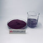 Black Elderberry Extract Powder 25% Anthocyanins For Immune Enhancing