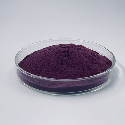 Black Elderberry Extract Powder 25% Anthocyanins For Immune Enhancing