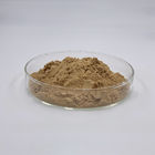 Menthae Extract Powder Mint Leaf Extract Ppwder 80mesh 4%Flavones: