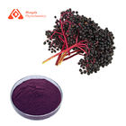 Black Elderberry Extract Powder 25% Anthocyanins For Immune Enhancing