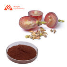 Grape Seed Extract Polyphenols Procyanidine