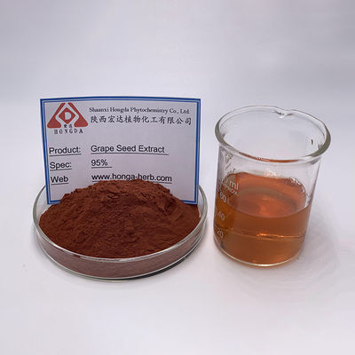 natural plant extracts  95% Proanthocyanidins Grape Seed Extract Powder Antioxidant Grape Seed Extract