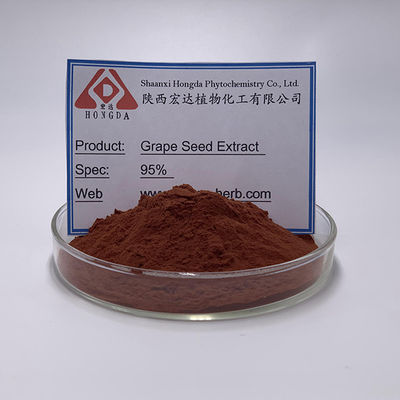 natural plant extracts  95% Proanthocyanidins Grape Seed Extract Powder Antioxidant Grape Seed Extract