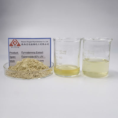 Gynostemma Pentaphyllum Extract Jiaogulan Extract 60% Gypenosides