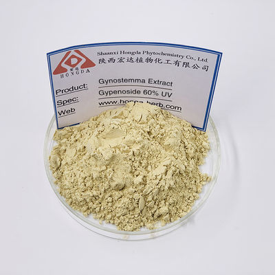 Gynostemma Pentaphyllum Extract Jiaogulan Extract 60% Gypenosides