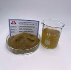 HPLC Astragalus Root Extract Powder Cycloastragenol Astragaloside IV 0.3%