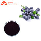 CAS 13306-05-3 Anti Oxidant Ingredients 36% Natural Bilberry Extract Powder Anthocyanin