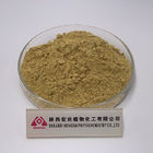 80mesh Antivirus Powder Gingko leaf Extract 24% Flavones Stock Available