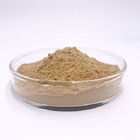 Factory supplier Nettle Extract ，Urtica dioica Powder , Nettle P.E. Urtica fissa Extract