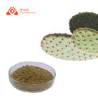 Cactus Extract Powder Loss Weight Slim Ingredient