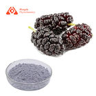 Natural 100% Pure Mulberry Juice Powder , 80mesh Mulberry Extract Powder