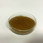 Brown Yellow Polygonum Multiflorum Extract / Thunb 10:1 20:1