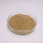 Peru Uncaria Tomentosa Cat'S Claw Extract Powder With 1%~10% Alkaloids
