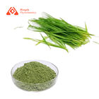 Skincare Pure Organic Powder HALAL 80mesh Barley Grass Juice Powder