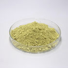 Bulk Sophora Japonica Extract 95% 98% Dihydrate Quercetin CAS 6151-25-3