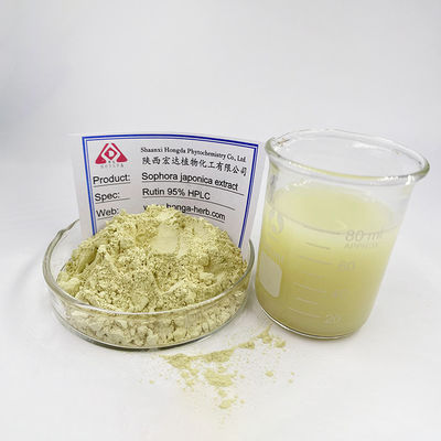 Plastic Container Bitter Quercetin Capsules Sophora Japonica Extract Antioxidant Powder