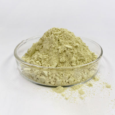 Yellow Quercetin High Purity Natural Plant Extracts Quercetin Powder Free Sample