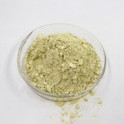 Yellow Quercetin High Purity Natural Plant Extracts Quercetin Powder Free Sample