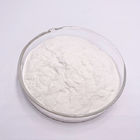 Odorless Garlic Extract Powder 1% Allicin Vitamin E 80mesh 25KGS/DRUM