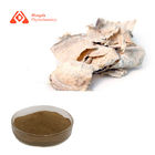 Pueraria Root Extract Puerarin 15%-98% Houttuynia Cordata Extract