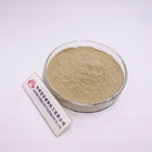 UV Test Horsetail Extract Powder Silicon 7% For Support Bones / Joints