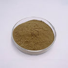 4% Flavonoids Pure Plant Extract UV Test Dandelion Root Extract Powder