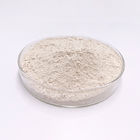 Body Slimming Garcinia Cambogia Extract Powder 50% 60% CAS 90045-23-1