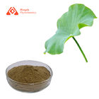 CAS 475-83-2 Lotus Leaf Extract 2%-98% Nuciferin For Weight Loss