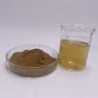 Food Grade Maca Root Extract Powder 0.4% 0.6% HPLC Detection