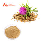 Milk Thistle Seed Extract Silymarin Powder 80% Purity For Liver Protect