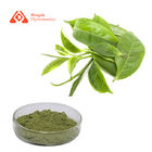 Food Grade Pure Organic Powder 200Mesh 500Mesh 100 Pure Matcha Green Tea Powder