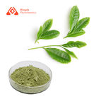 EU Certified Pure Organic Matcha Tea Powder / Camellia Sinensis L
