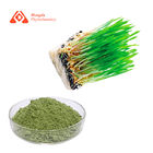 100% Pure Organic Green Barley Grass Powder 80mesh Sample Avaliable