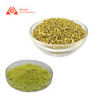 Cas 117-39-5 98% Sophora Japonica Extract Powder Yellow Color