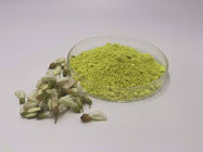 Pure Natural Quercetin Powder Rutin 95% UV CAS 117-39-5-5