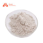 99% White Powder Sleep 5 HTP Griffonia Simplicifolia Extract