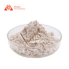 98% Griffonia Simplicifolia Seed Extract Powder 5-HTP 5-Hydroxytryptophan