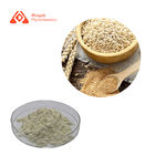 HPLC Natural Ferulic Acid 98% Rice Bran Powder CAS 1135-24-6