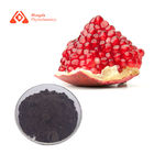 HONGDA 60% Pomegranate Extract Powder Polyphenols Food Grade Brown