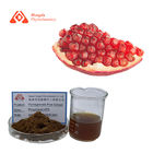 Food Grade Pomegranate Seed Extract Polyphenols 40% Punica Granatum Linn
