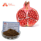 Natural Pomegranate Peel Extract Powder 10:1 Punica granatum Linn