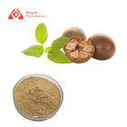 100% Natural Sweetener Monk Fruit Extract 25% Mogroside V Water Soluble