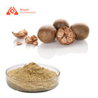 Pure Monk Fruit Extract Powder Pharmaceutical Grade 25% Lo Han Fruit Extract