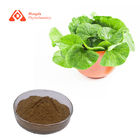 10% HPLC Centella Asiatica Powder CAS 84696-21-9 Gotu Kola Leaf Extract