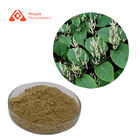 Water Soluble Giant Knotweed Extract Resveratrol Powder 50% 98% 99%